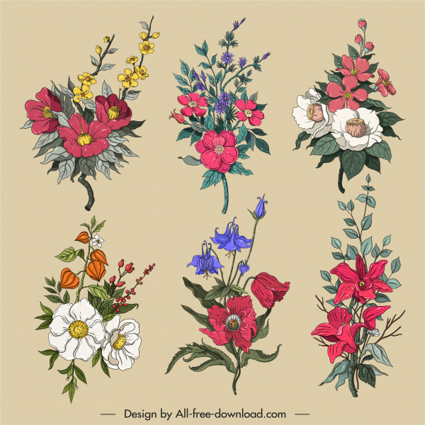 fleurs décoratives icônes design classique coloré