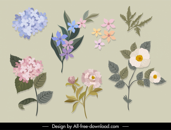 ícones de flores decorativas coloridos elegantes design clássico