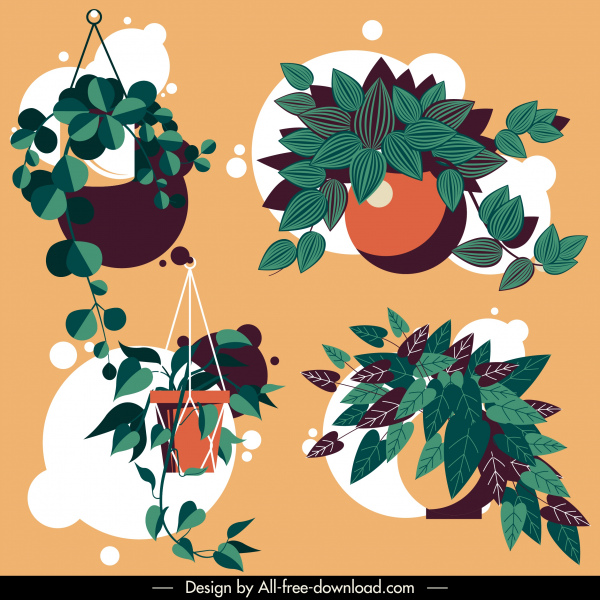 dekorative Zimmerpflanze Symbole Blätter Skizze farbigen klassischen Design