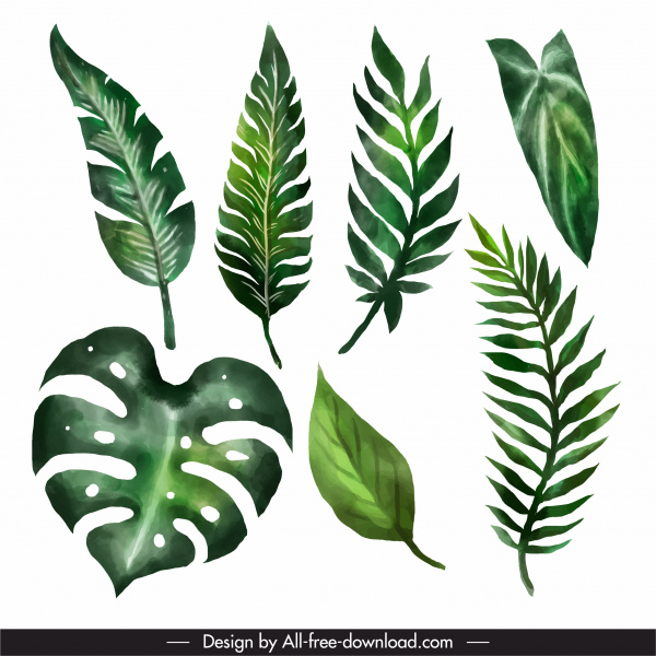 iconos de hojas decorativas verde clásico dibujado a mano contorno