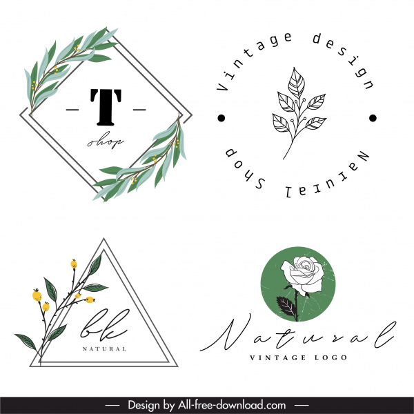 logotipo decorativotipo de plantas dibujadas a mano boceto plano diseño retro