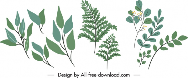 elementos decorativos de la naturaleza clásico hojas ramas boceto