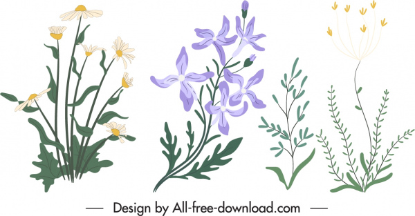dekoratif doğa unsurları klasik handdrawn floras ağaçlar