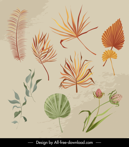 elementos decorativos de la naturaleza retro hojas flores boceto