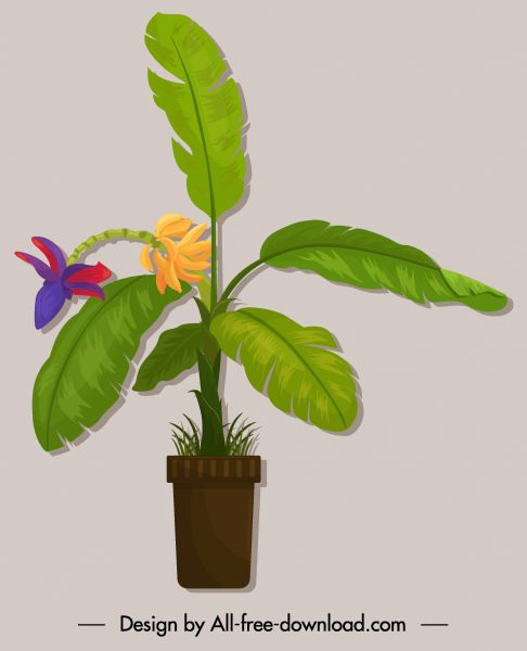 الزخرفية رمز الموز رسم النبات الملونة تصميم كلاسيكي