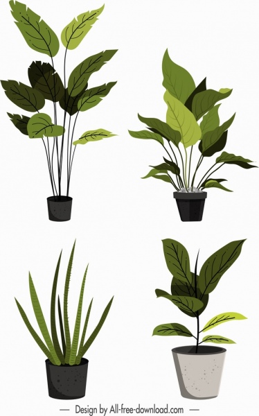 장식 식물 냄비 아이콘 클래식 컬러 스케치