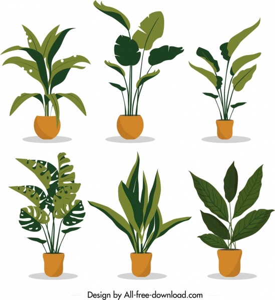 장식 식물 아이콘 컬렉션 나무 잎 냄비 장식