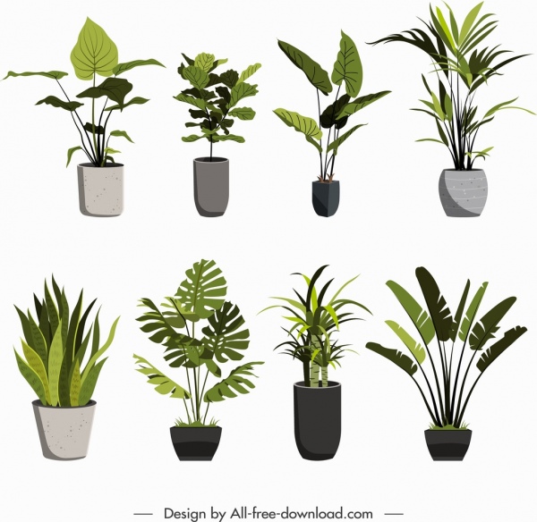 plantas decorativas ícones folhas verdes vasos de porcelana esboço