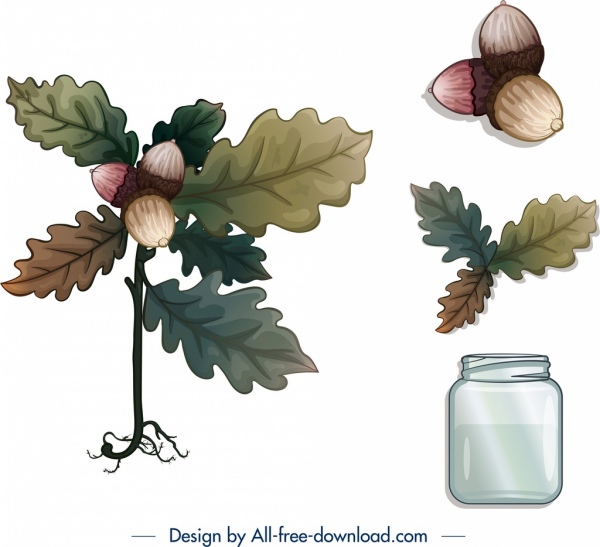 장식 식물 아이콘 잎 밤나무 항아리 스케치