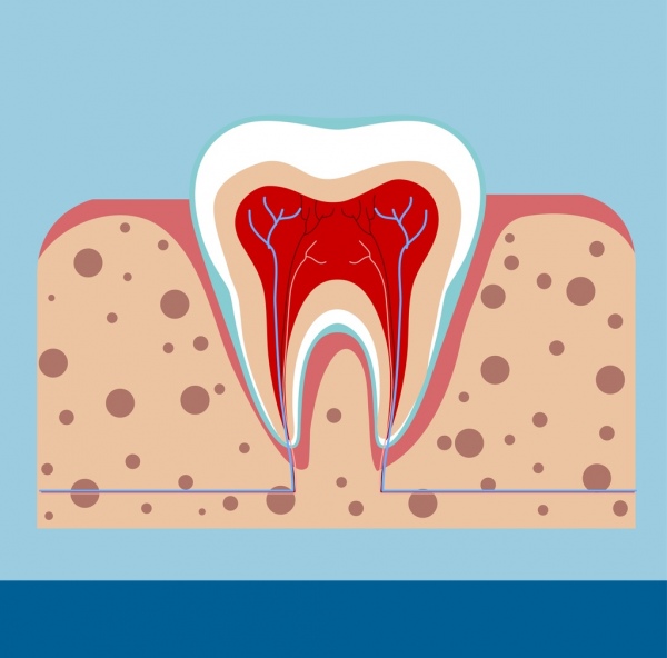 Dental Zahn Zahnfleisch Symbol flach schneiden Hintergrunddesign