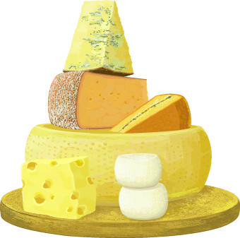 conjunto de design de queijo diferente 3