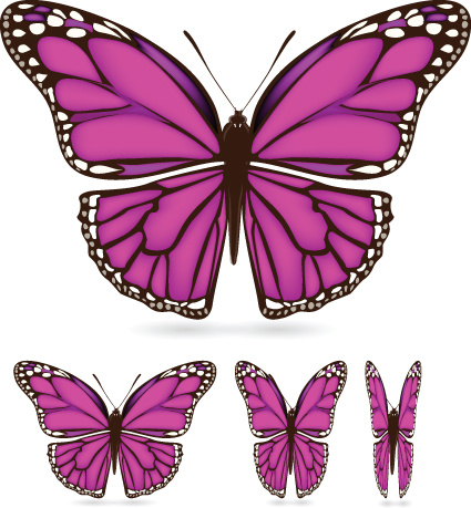 vector de muestra de mariposa de diferentes colores
