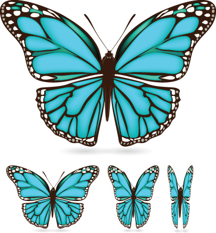 別の色の蝶サンプル ベクトル