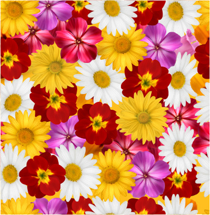 verschiedene Blumen Musterdesign kreative Vektor
