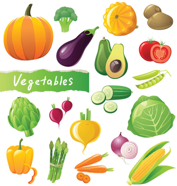 различные свежие овощи векторной графики
