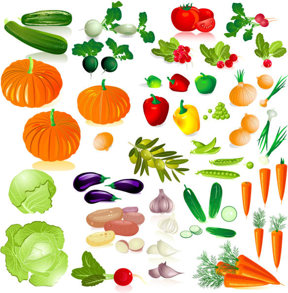 sayuran segar yang berbeda vektor grafis
