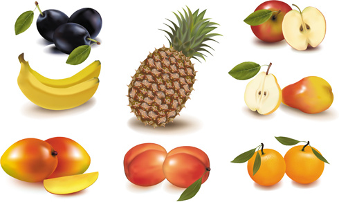 conjunto de vetores de elementos de diferentes frutas
