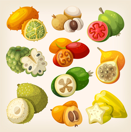Different Fruits Design Vectors Set