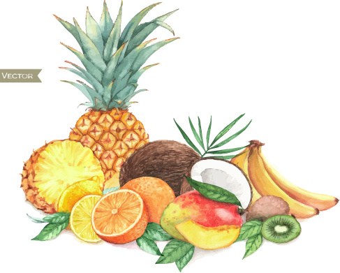 desenho de vetores em aquarela de frutas diferentes