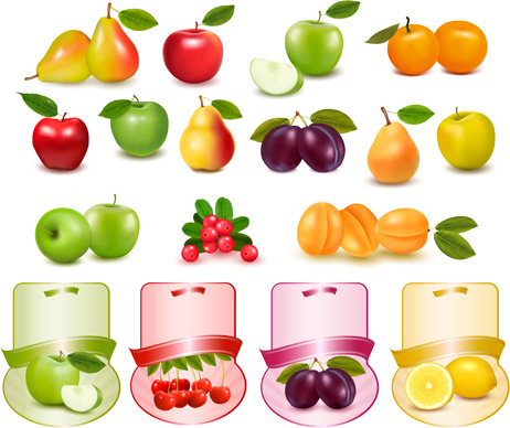 buah-buahan yang berbeda dengan label vektor