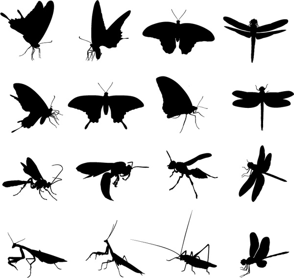 vektor kreatif siluet serangga yang berbeda