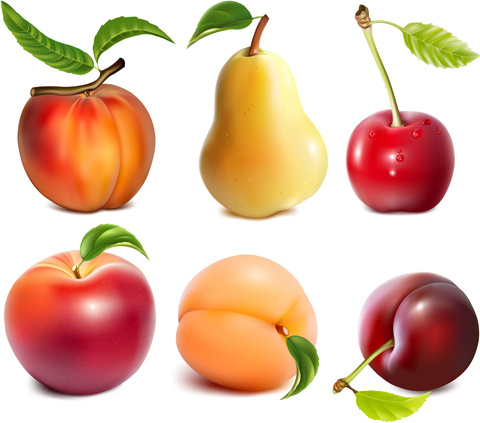 buah juicy berbeda vektor