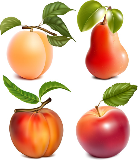 buah juicy berbeda vektor