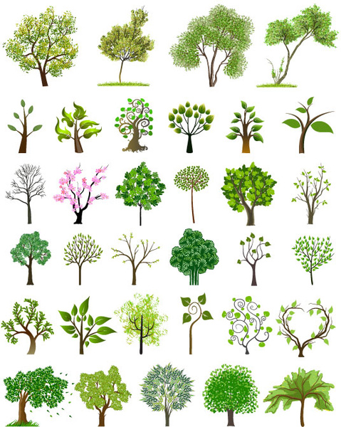 ต้นไม้ต่าง ๆ ออกแบบเวกเตอร์