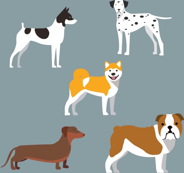 types de collections diverses icônes colorées de chien