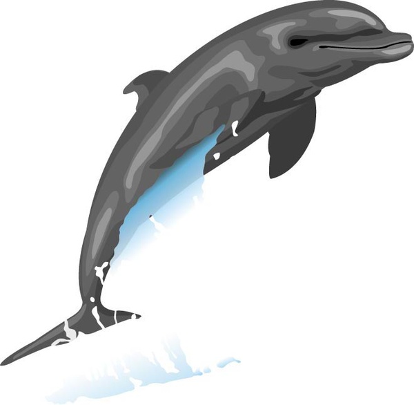Delfino che salta nel vettore di acqua