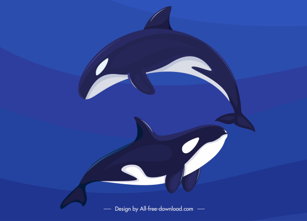 Дельфины фон два плавательный эскиз темный цветной дизайн