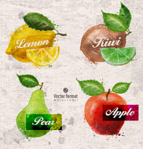 Drawn Watercolor Fruits Vector Design Set