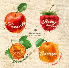 conjunto de design vetorial desenhado em aquarela de frutas