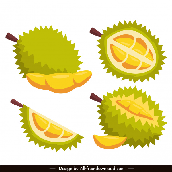 iconos de frutas durian boceto clásico de colores brillantes