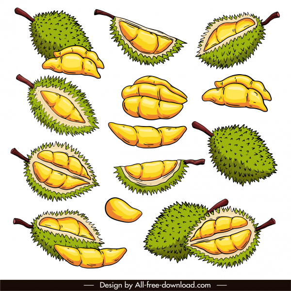 ícones de frutas durian coloridos clássico esboço desenhado à mão