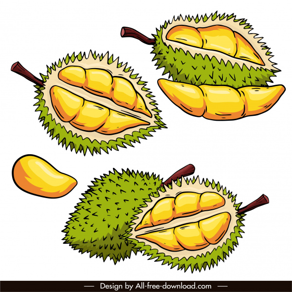 durian meyve simgeleri retro handdrawn kroki