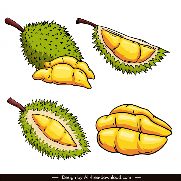durian iconos diseño clásico boceto dibujado a mano