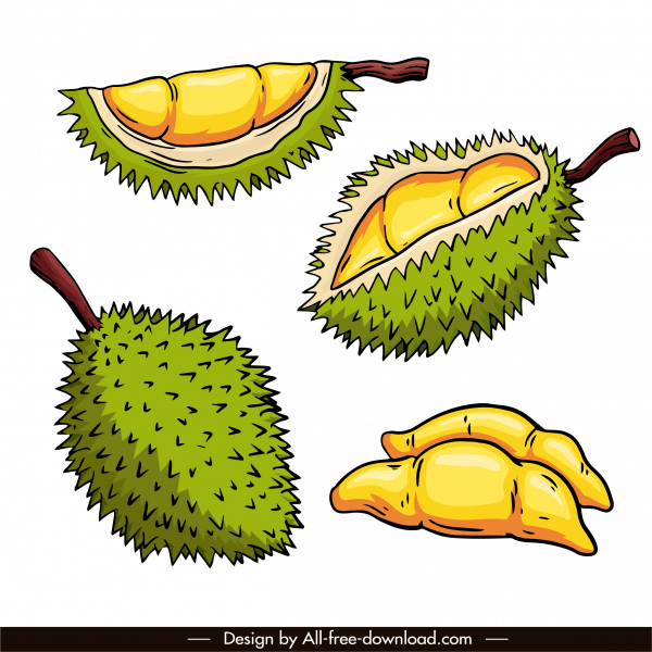 ícones durian esboço retro desenhado à mão