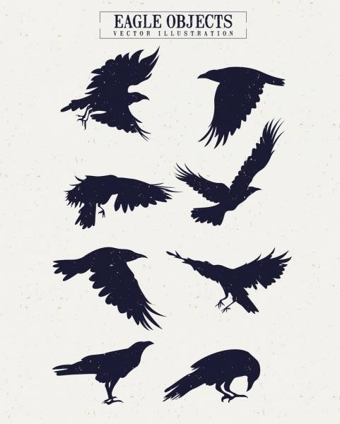 design de silhueta da coleção eagle icons