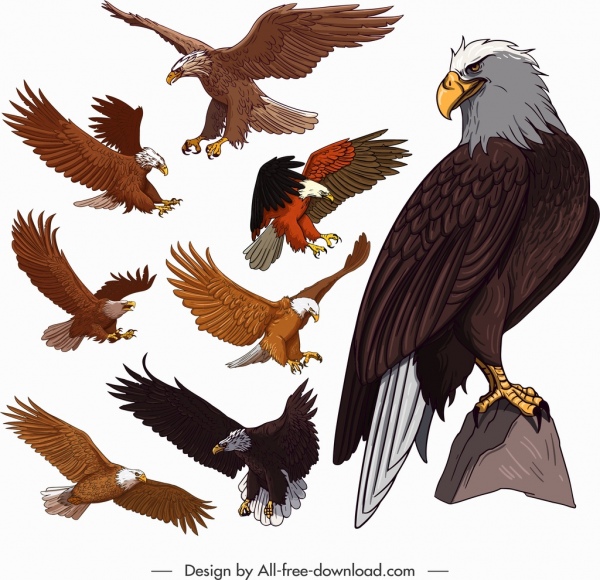 Ícones da águia esboço colorido dos desenhos animados