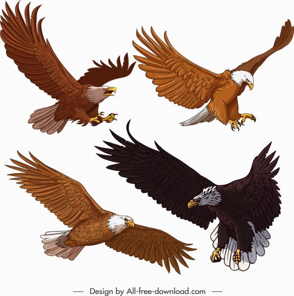 ícones da águia gesto voando esboço dos desenhos animados