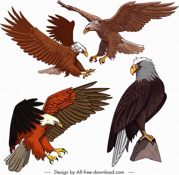 Iconos del águila volando posándose en el boceto del gesto
