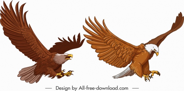 ícones de águia caça gesto esboço desenho animado