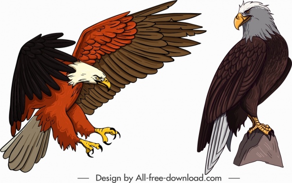 ícones da águia caça empoleirando gesto esboço design dos desenhos animados