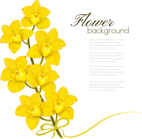 Elegant Yellow Flowers Art Background Vector