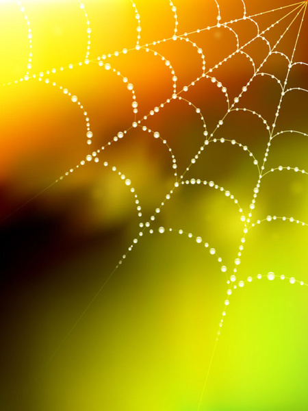 Elementos de rocío y Spider Web vector