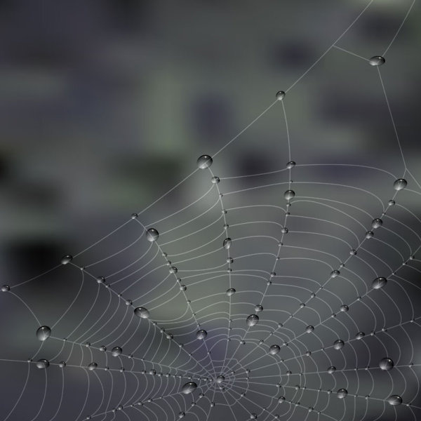 露とクモの web ベクトルの要素