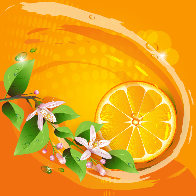elementos do vetor de limão e flores