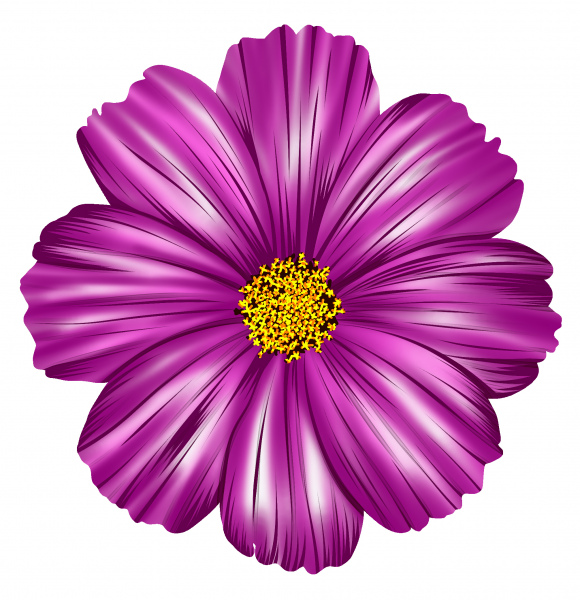 Faizan wykonane cyfrowy kwiat