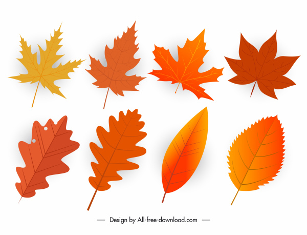 падение листья иконы оранжевый современных форм